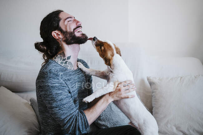 Hund leckt Mann Bart beim Spielen auf Sofa zu Hause — Stockfoto
