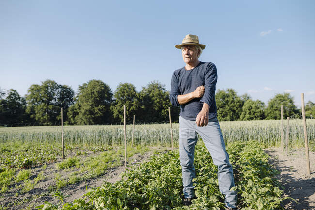 Hombre reflexivo mirando hacia otro lado mientras está de pie contra el cielo azul claro en el campo agrícola - foto de stock