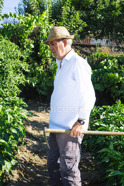 Hombre mayor con sombrero sosteniendo la pala mientras está de pie en el huerto - foto de stock