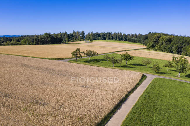 Germany, Baden-Wurttemberg, Aerial view of summer fields in Swabian Alps — Stock Photo