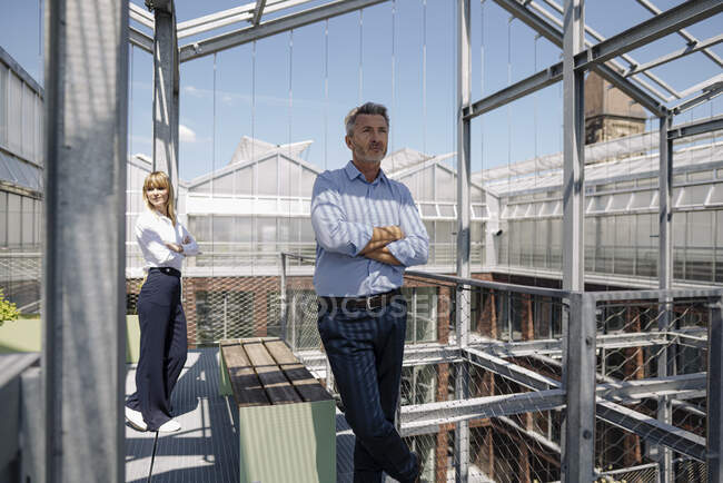 Profesionales con los brazos cruzados de pie en invernadero - foto de stock