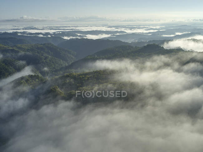 Veduta aerea di basse nuvole che avvolgono colline boscose — Foto stock
