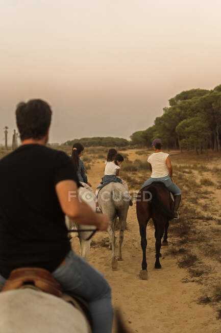 Chevaux d'équitation en famille sur le paysage contre le ciel clair pendant le coucher du soleil — Photo de stock