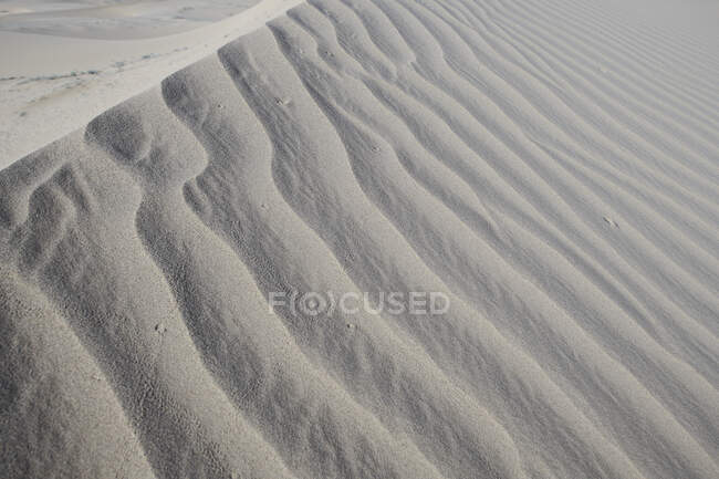 Волновой рисунок на белом песке Кадис Дюн в пустыне Мохаве, Южная Калифорния, США — стоковое фото