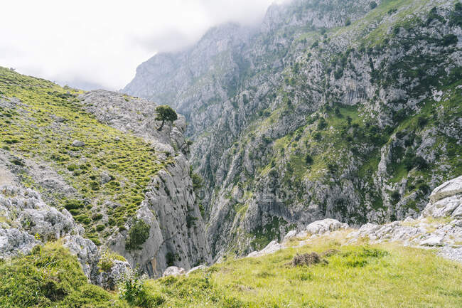 Mountains of Ruta Del Cares, Asturias, Spain — Stock Photo