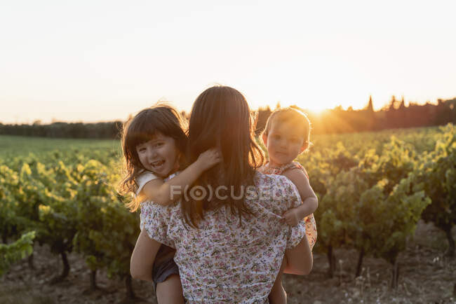 Mother and little daughters in a vineyard at sunset in Provence, France — Stock Photo