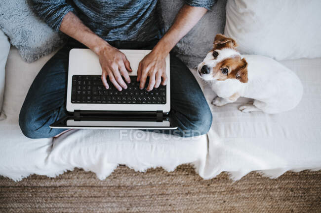 Mann arbeitet am Laptop, während er zu Hause neben dem Hund auf dem Sofa sitzt — Stockfoto