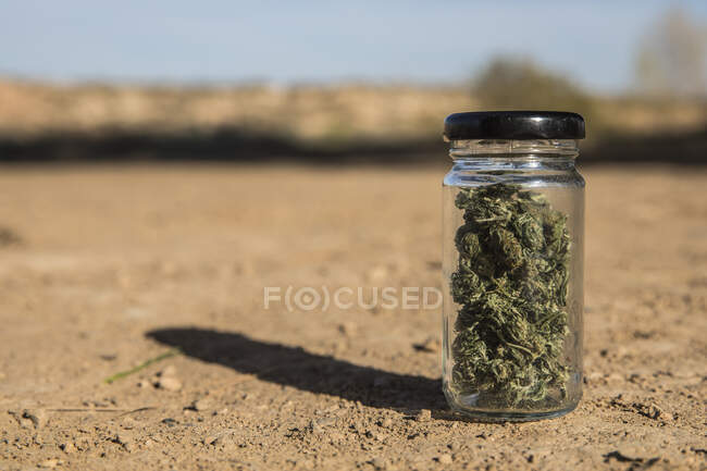 Small jar of marijuana on land — Stock Photo