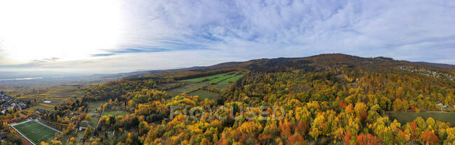 Foresta coperta collina in autunno — Foto stock