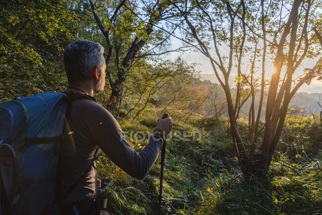Escursionista maschio con zaino in piedi nel bosco all'alba, Orobie, Lecco, Italia — Foto stock