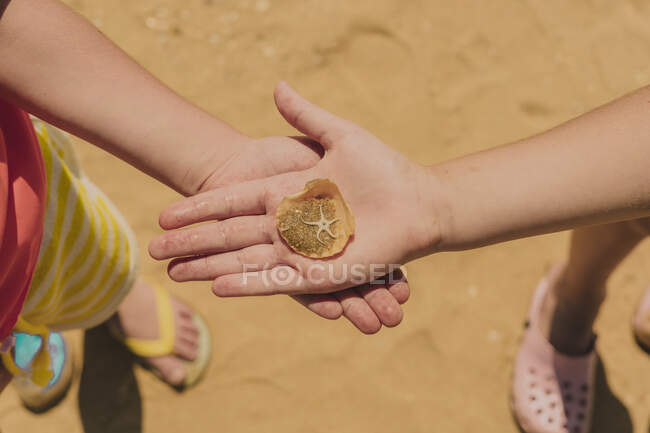 Mani di sorelle che tengono piccole stelle marine in spiaggia — Foto stock
