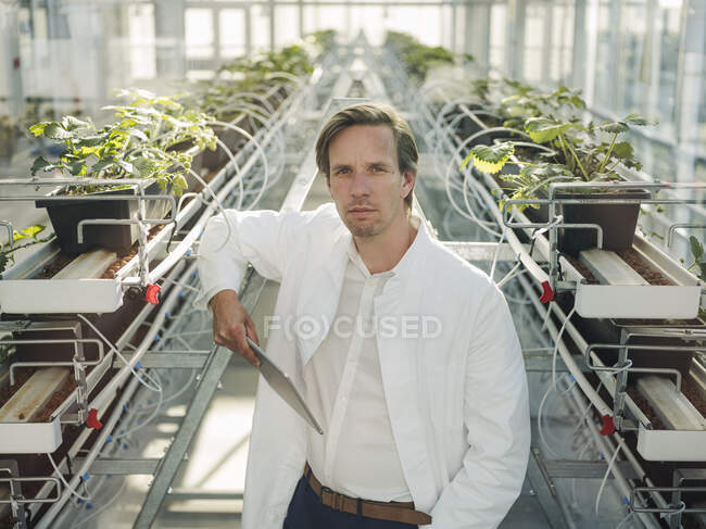 Portrait of a scientist holding tablet in a greenhouse — Stock Photo