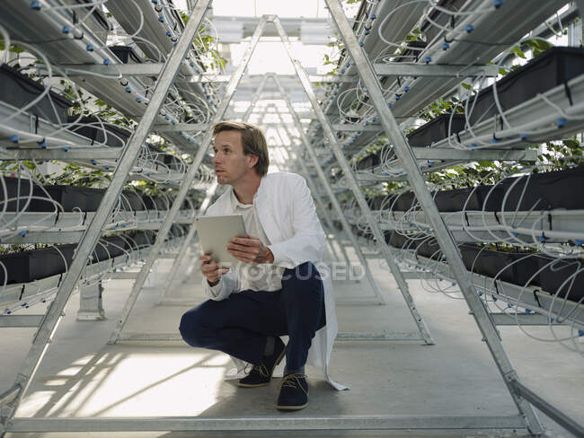 Scientist holding tablet in a greenhouse — Stock Photo