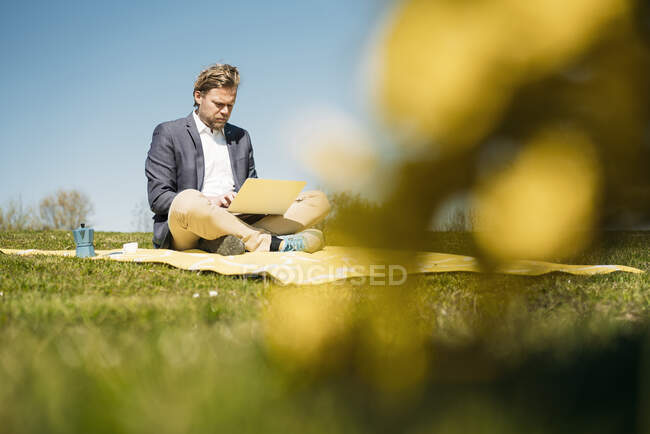 Мужчина-профессионал с помощью ноутбука, сидя на одеяле для пикника в парке против ясного неба в солнечный день — стоковое фото