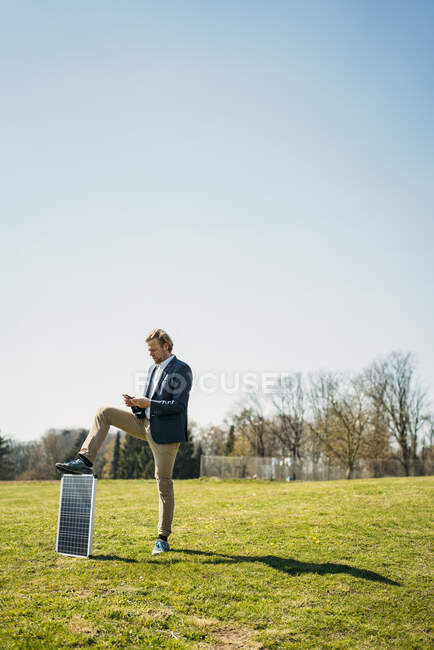 Empresario usando teléfono móvil mientras está de pie con el panel solar en la hierba en el parque contra el cielo despejado durante el día soleado - foto de stock