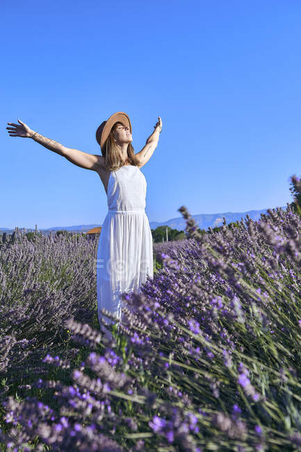 Безтурботна жінка з простягнутими руками стоїть серед лавандового поля на тлі чистого неба — стокове фото