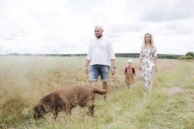 Genitori e figlia con Labrador al cioccolato che camminano tra i campi di avena contro il cielo nuvoloso — Foto stock