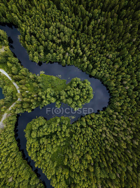 Rusia, República de Karelia, Sortavala, Vista aérea del bosque verde que rodea la curva del río Tohmajoki en verano - foto de stock