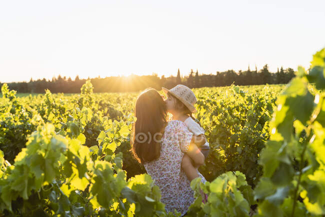 Madre che tiene la figlia in un vigneto al tramonto in Provenza, Francia — Foto stock