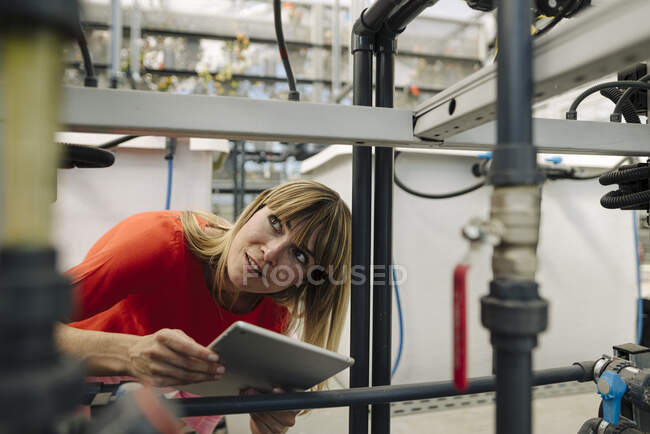 Imprenditrice con tablet digitale esaminando attrezzature in serra — Foto stock