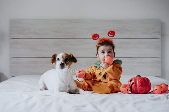 Lindo bebé niño poniendo juguete en boca sentado con perro en la cama en casa - foto de stock