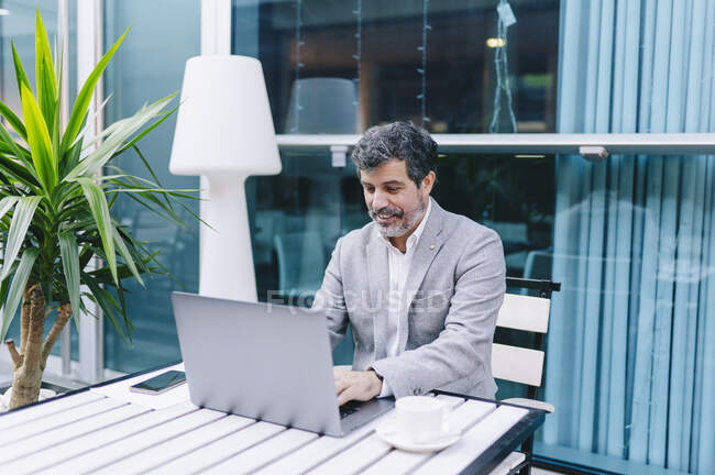 Uomo d'affari sorridente utilizzando il computer portatile in caffè — Foto stock