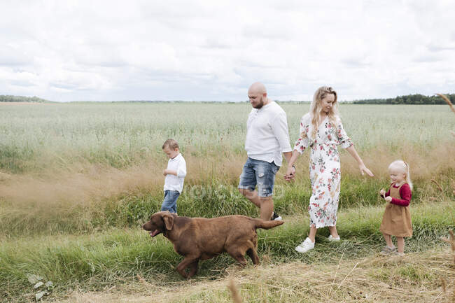 Family with Chocolate Labrador walking amidst oats field against sky — Stock Photo