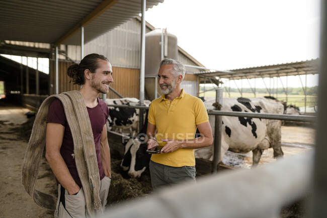 Дорослий фермер зі смартфоном і дорослим сином у коров 