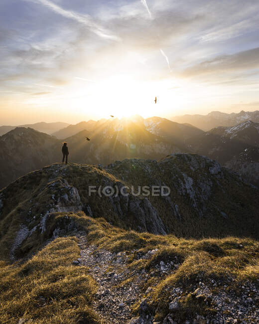 Female hiker standing on viewpoint during sunset, Saeuling, Bavaria, Germany — Stock Photo