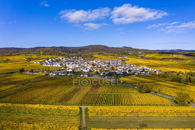 Allemagne, Hesse, Oestrich-Winkel, Vue en hélicoptère de la ville de campagne entourée de vignobles jaunes d'automne — Photo de stock