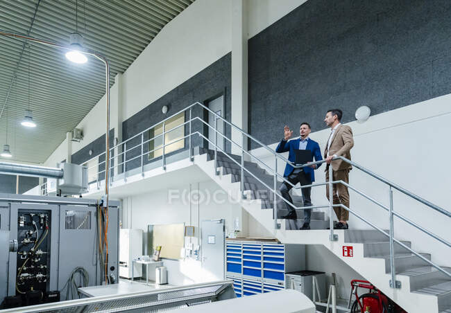 Мужчины-профессионалы обсуждают, глядя на промышленность, стоя на лестнице — стоковое фото