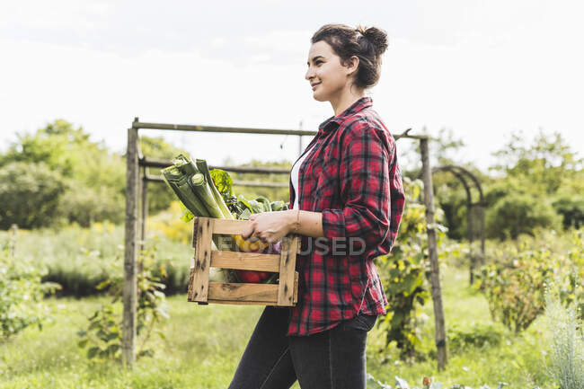Young woman carrying vegetables in crate while walking against sky at garden — Stock Photo