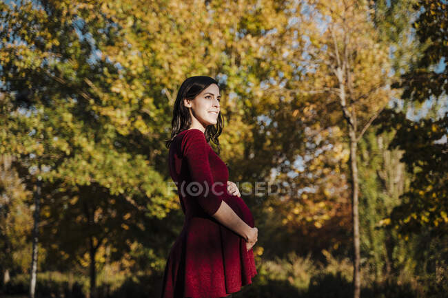 Femme enceinte avec les mains sur le ventre debout dans le parc pendant l'automne — Photo de stock