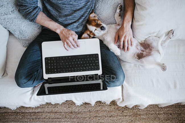 Mann arbeitet am Laptop, während er mit Hund spielt, der zu Hause auf Sofa sitzt — Stockfoto