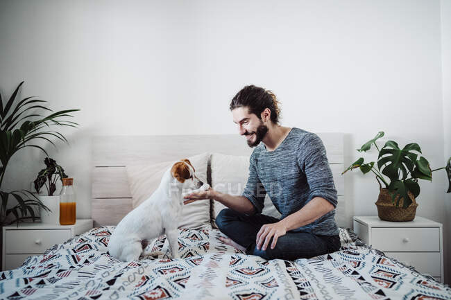 Lächelnder Mann spielt mit Hund, während er zu Hause auf dem Bett sitzt — Stockfoto