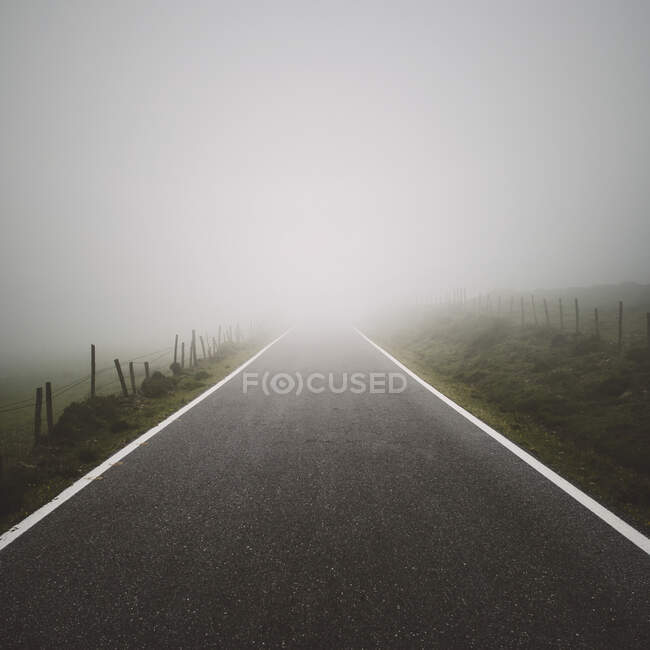 Leere Straße bei nebligem Wetter — Stockfoto