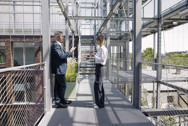 Professionisti discutere mentre in piedi sul ponte pedonale in serra — Foto stock