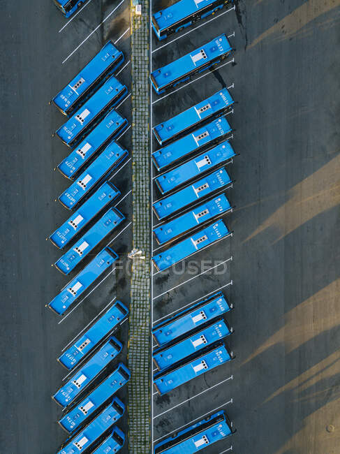 Vista aérea del estacionamiento lleno de autobuses azules - foto de stock