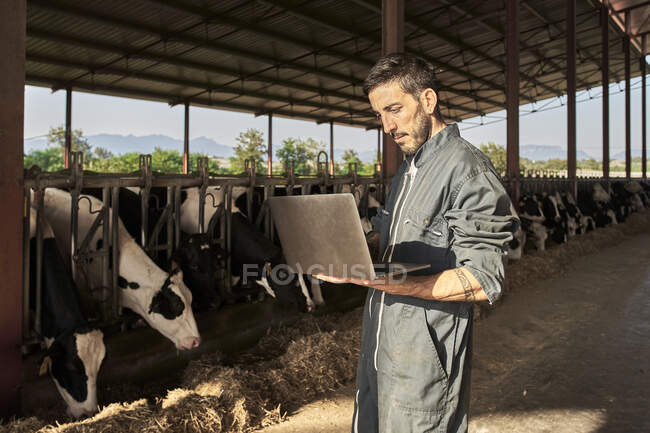 Farmer using laptop near livestock at farm — Fotografia de Stock