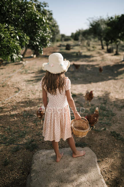 Menina com cesta em pé na fazenda de frango — Fotografia de Stock