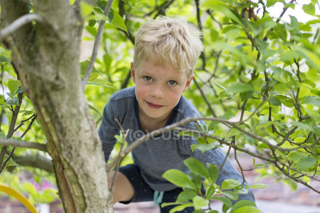 Cute blond boy climbing tree branch — Stock Photo