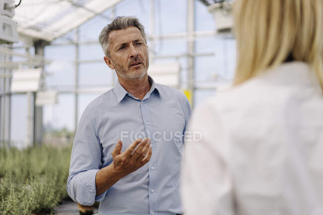 Empresario discutiendo con compañera de trabajo mientras está de pie en invernadero - foto de stock