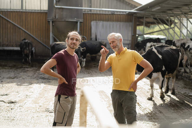 Зрелый фермер разговаривает со взрослым сыном в коровнике на ферме — стоковое фото