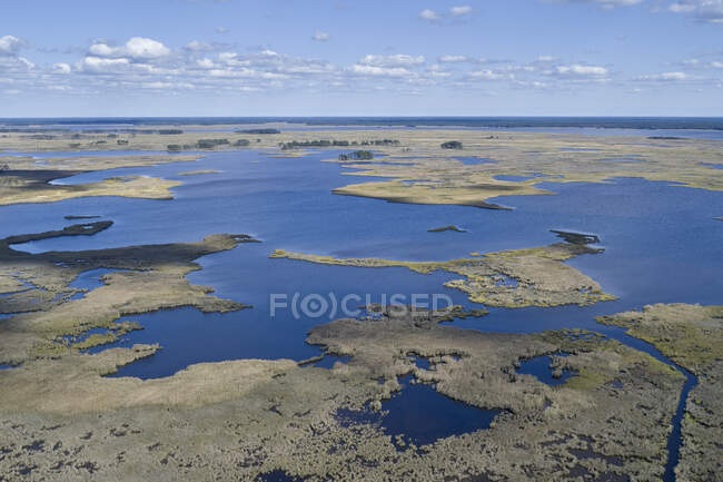 USA, Maryland, Veduta drone delle paludi lungo il fiume Nanticoke sulla costa orientale — Foto stock