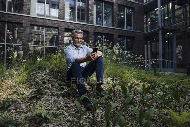 Uomo d'affari che utilizza smart phone mentre seduto tra le piante contro la costruzione — Foto stock