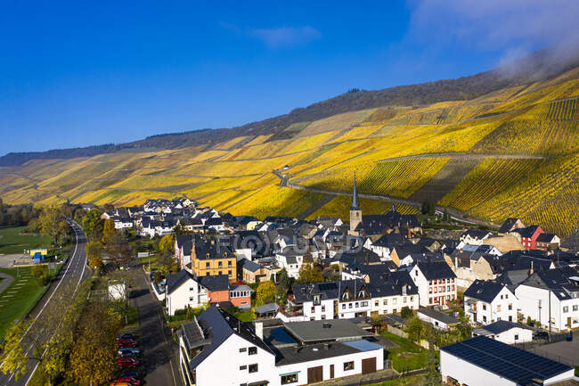 Germania, Renania-Palatinato, Bernkastel-Kues, veduta in elicottero della città rurale in autunno con vigneti in collina sullo sfondo — Foto stock