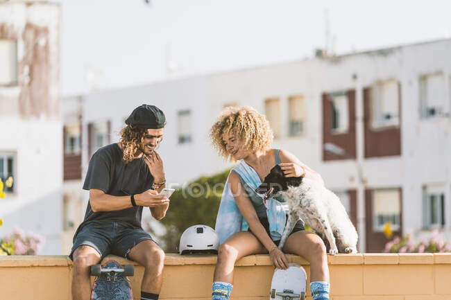 Amis utilisant un téléphone portable tout en étant assis avec chien sur le mur de soutènement en ville — Photo de stock