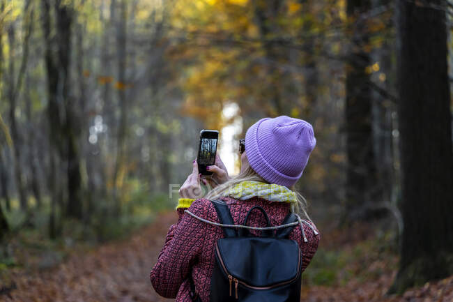 Mujer fotografiando árboles con teléfono inteligente en el bosque durante el invierno - foto de stock