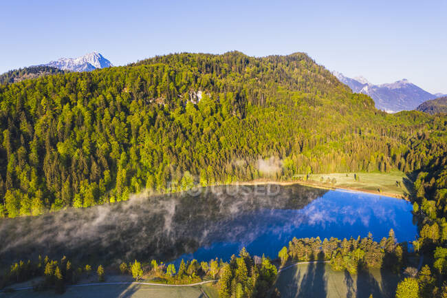 Alemania, Baviera, Schwangau, Vista aérea del lago Schwansee en verano - foto de stock