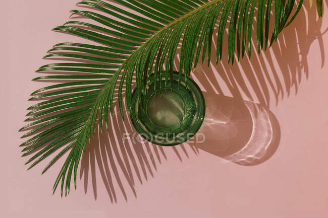 Plan studio de feuilles de palmier et verre d'eau gazeuse — Photo de stock
